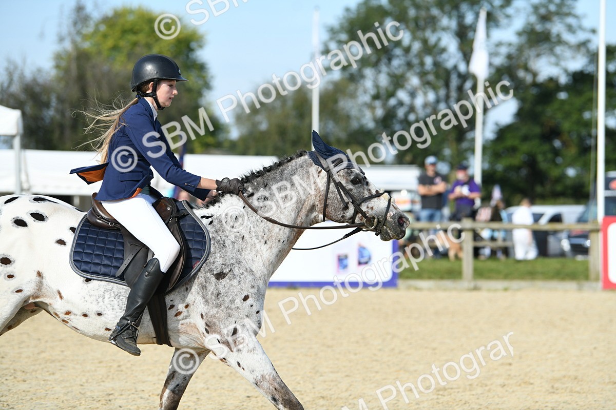 SBM_60734 - j25 - Junior Horse 80cm Championship