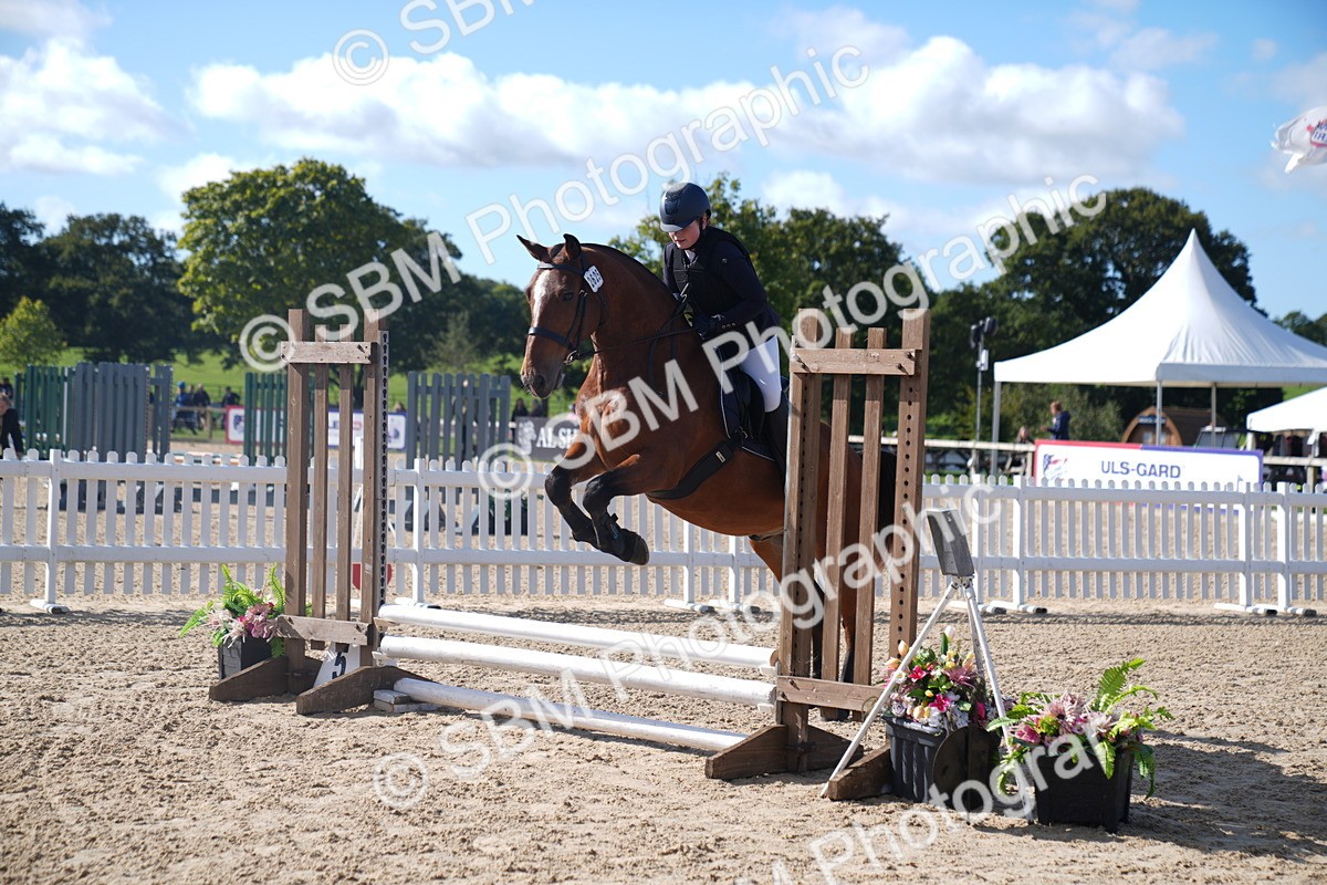 SBM_02375 - J54 Clear Round 45cm