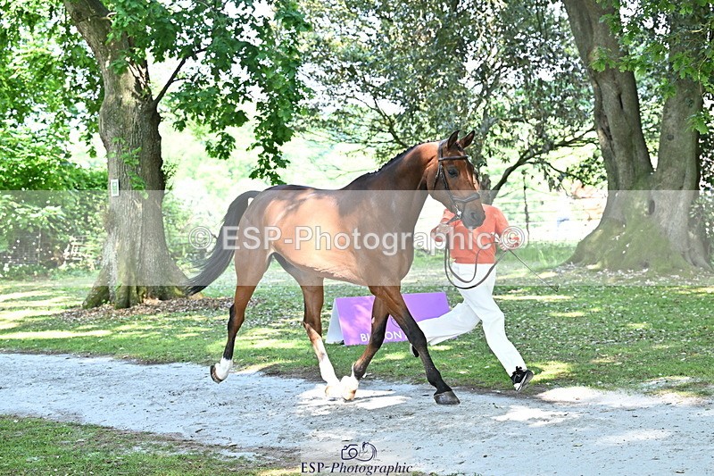 250521A-153610-00625 - B-369-Ali.Wilkes-ROCK.THE.CASPAR