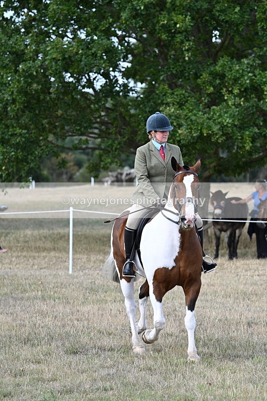 WJ7_7126 - Class 14 Ridden Coloured