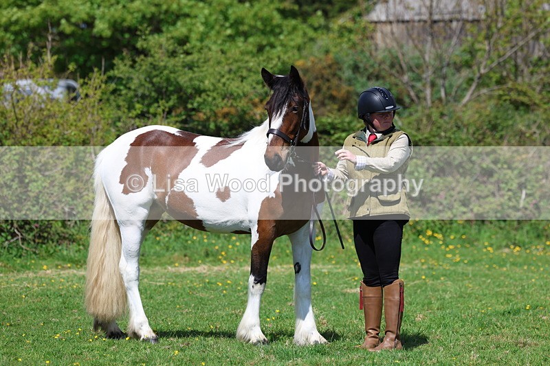 3E7A0339 - Class 19: Best Coloured in Hand