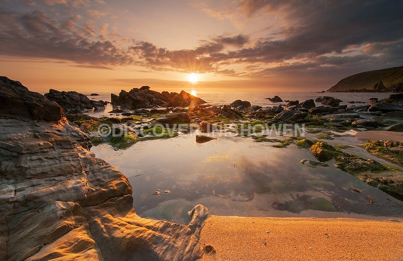 Kinnagoe Bay - Nature