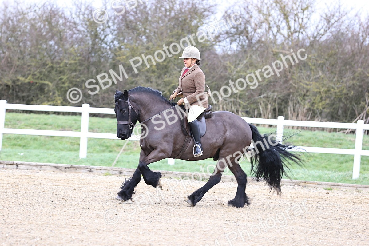 SBM_006937 - Class 29 - 30 - M&M Pure Novice Small-Large Breeds