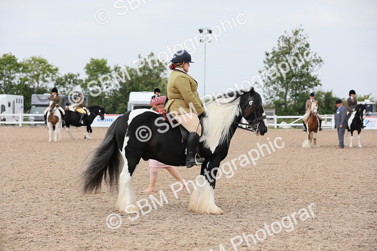 SBM_12749 - Class 307 Ridden Coloured Pony