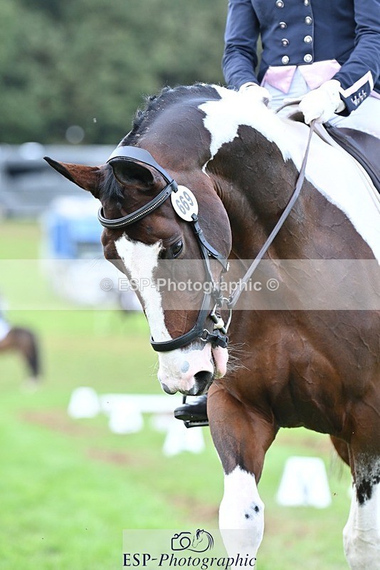 231020-144925-10998 - 669-FOXRIDGE.HIGH.JINX-Claire.Deuten-DR