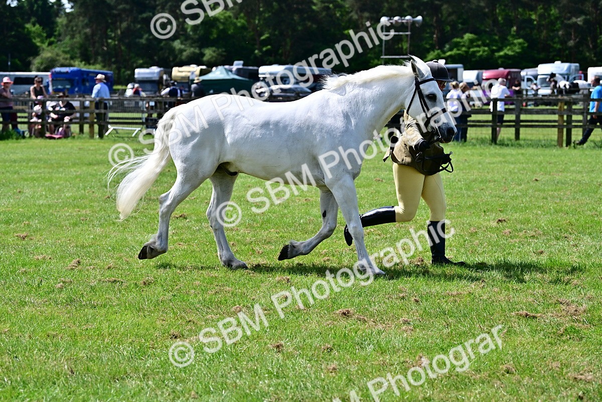 SBM_03857 - Class 58 - TSR  Ridden Veteran Amateur of the year