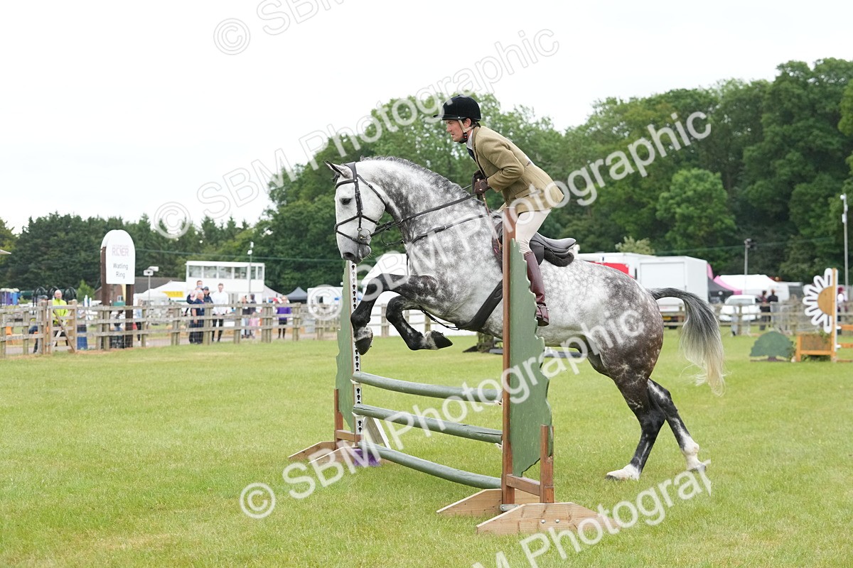 SBM_12604 - Class 97-98 - LIHS BSHA Rising Star Working Show Horse Hunter