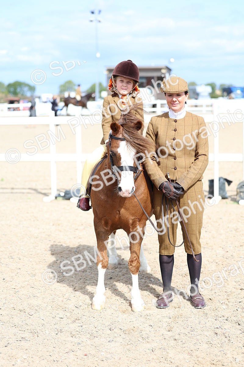 SBM_13078 - Class 309 - Lead Rein Pony