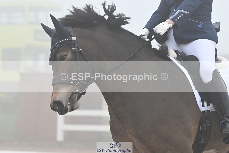 240217A-125310-02707 - 251-Alison.Crimp-Crwys.Beau