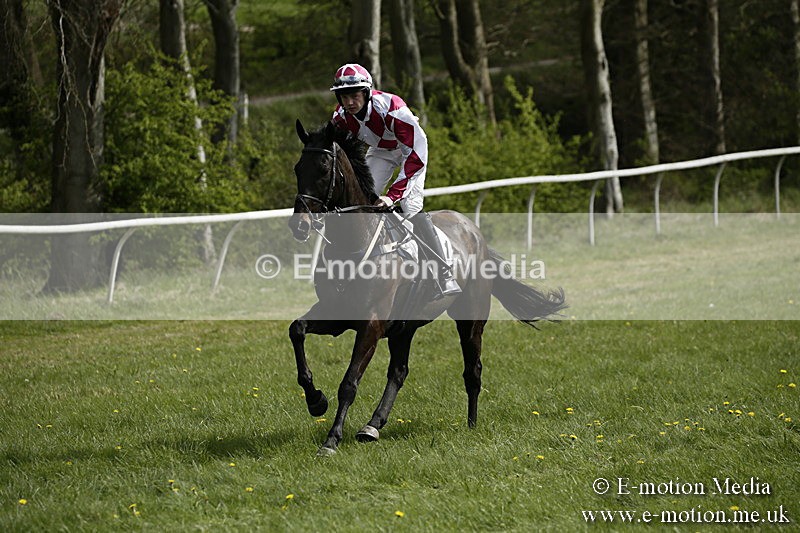 PtP 170417 240 - Old Berks Point-to-Point Lockinge 17/04/17