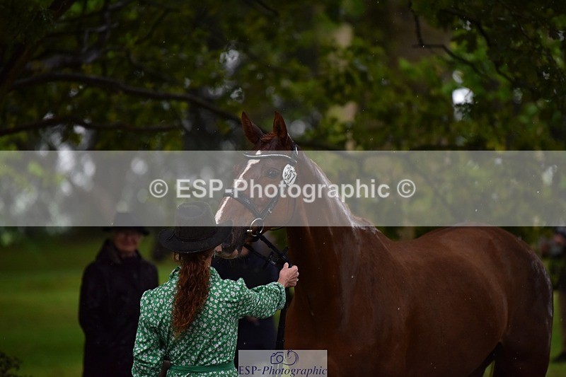 240522-153254-00419 - 367-CROSSTOWN_FINTANS_LAST-Catherine_Burrell