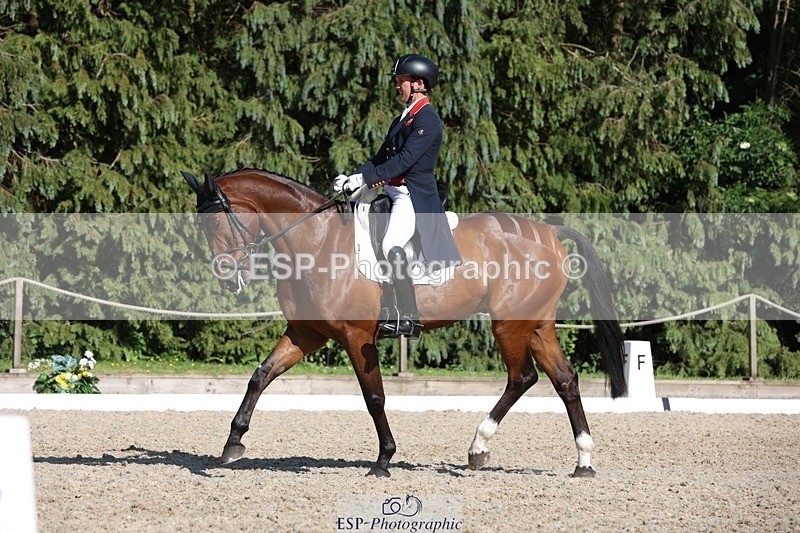 230526-170447-07901 - 175-MONBEG_EQUITY-Tom_McEwen-WEDTrotUp+DR