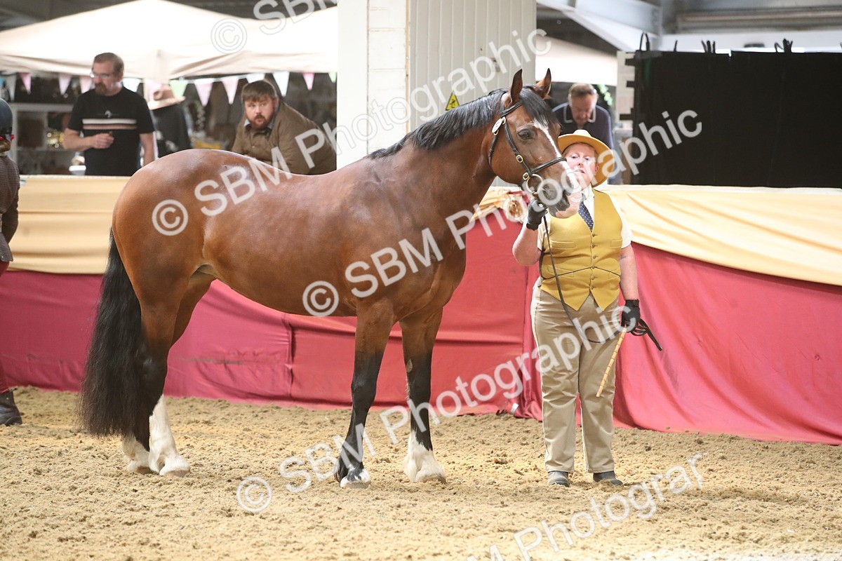 SBM_05586 - Class 9R - Regional IH Pre-Vet