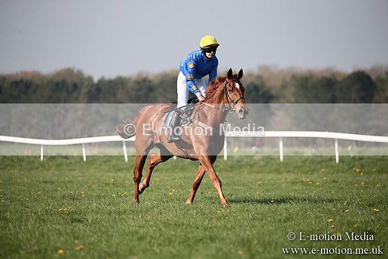 PtP 210418 491 - South & West Wilts Point-to-Point Larkhill 21/04/18