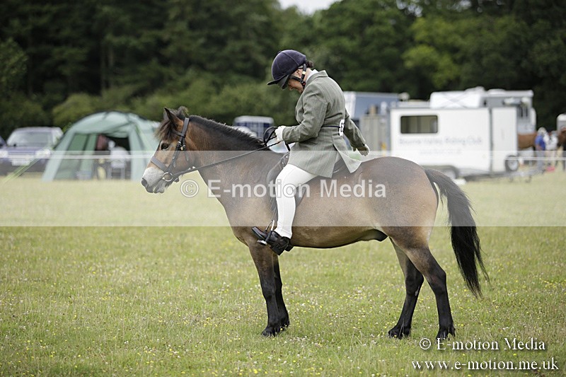 BVR160717-1316 - Ring 1 BVRC Show 16/07/17