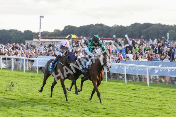 230923-Race 6-September Power-5439 - Race 6 4.55pm New To York Rio Brazilian Handicap