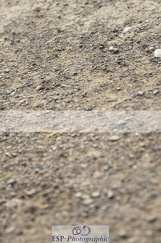 230817-095056-01675 - Kay's 1st Group - Arena