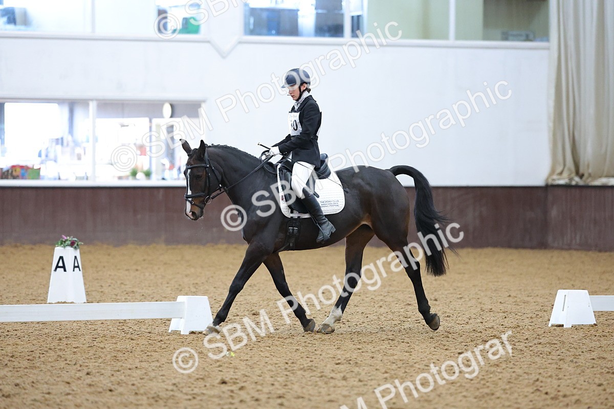 SBM_003719 - Novice