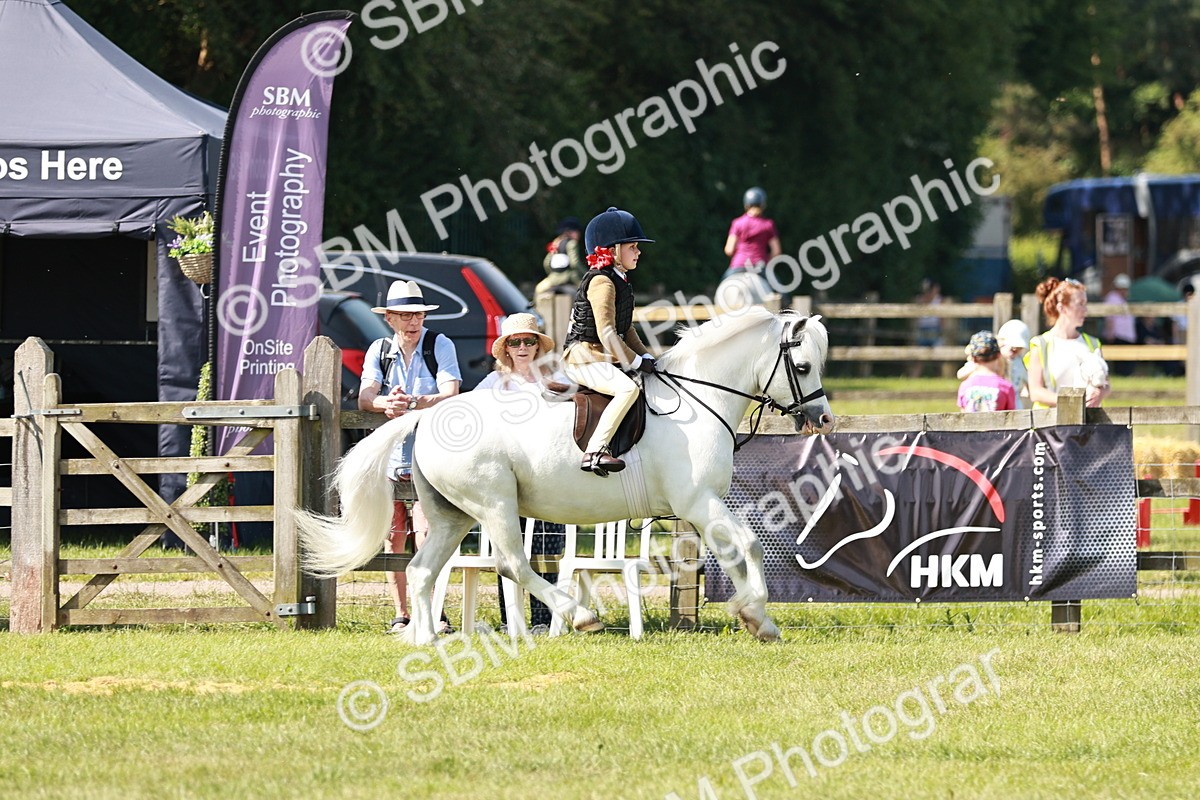 SBM_12752 - Class 106-107 - BSPS LIHS Working Sports Pony