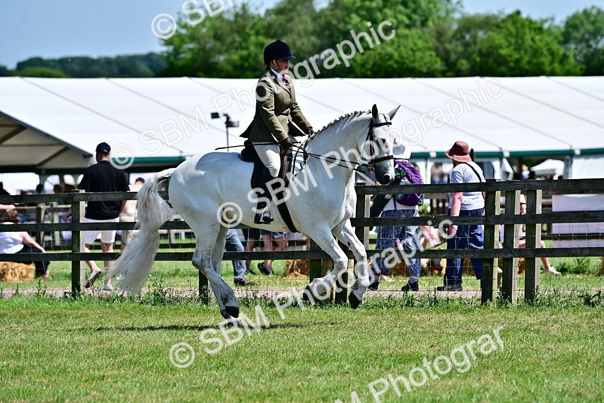 SBM_17492 - Class 95-97 - BSPS LHS Performance Ponies