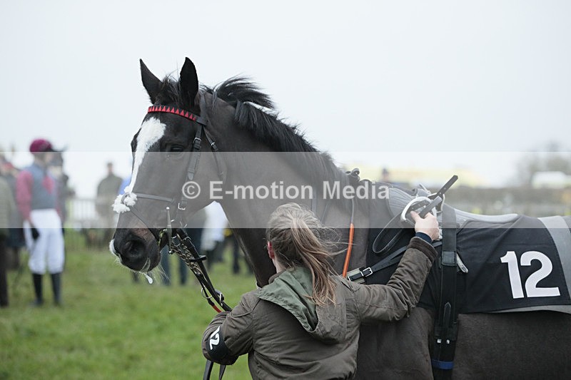 PtP 041222 0581 - Wheatland  Hunt PtP Chaddesley Corbett, Worcs 04/12/22