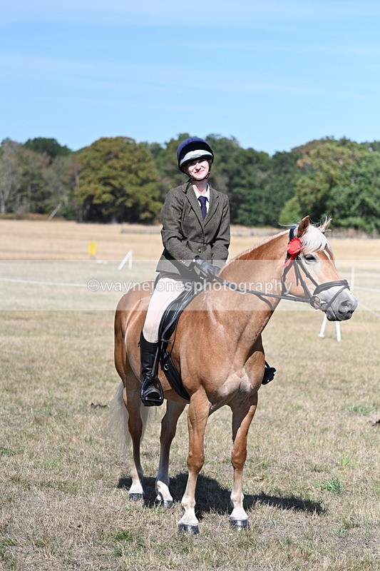WJ7_1314 - Class 41 Prettiest Mare
