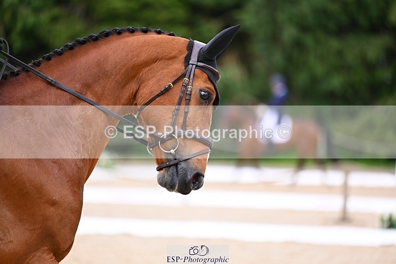 240524-124738-09341 - 152-MODRIX_DOR_VAN_DE_MISPELAERE-Annabel_Walsh