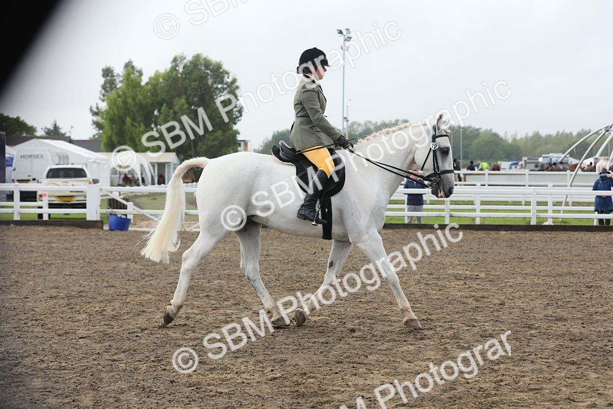 SBM_21288 - Class 805 - Ridden Veteran Horse