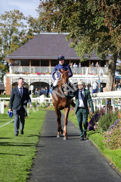 yr08102022r3-52 - Race 3 2.40pm The Coral 'Beaten-by-a-Length' Free Bet Handicap