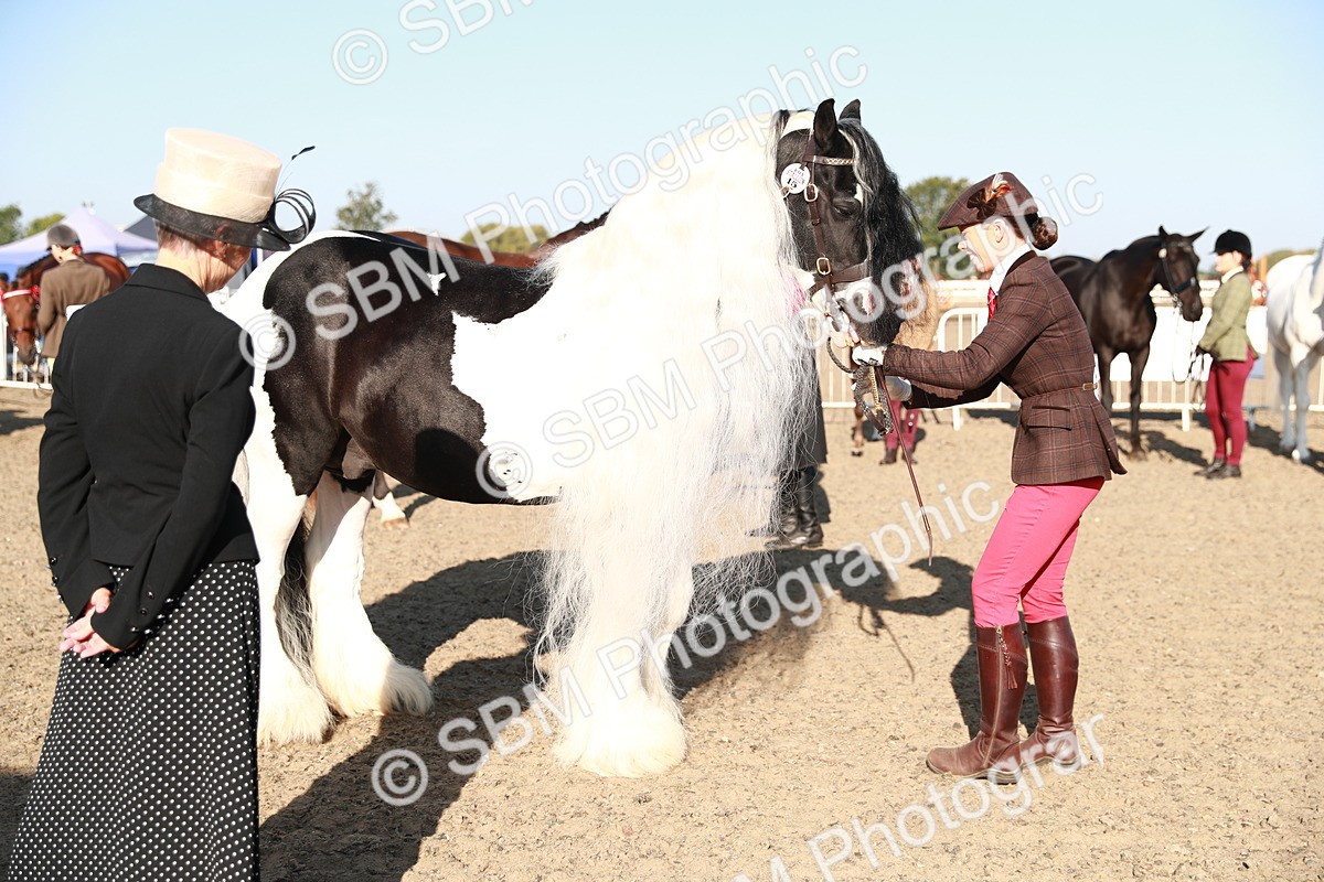 SBM_00056 - Class 40 Best Turned Out IH