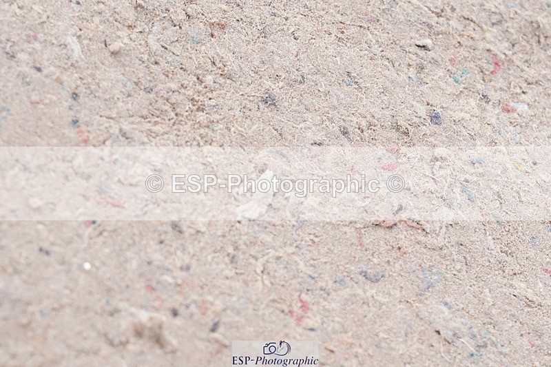 250425-085812-08270 - Cls 26 Young Horse 5yr old