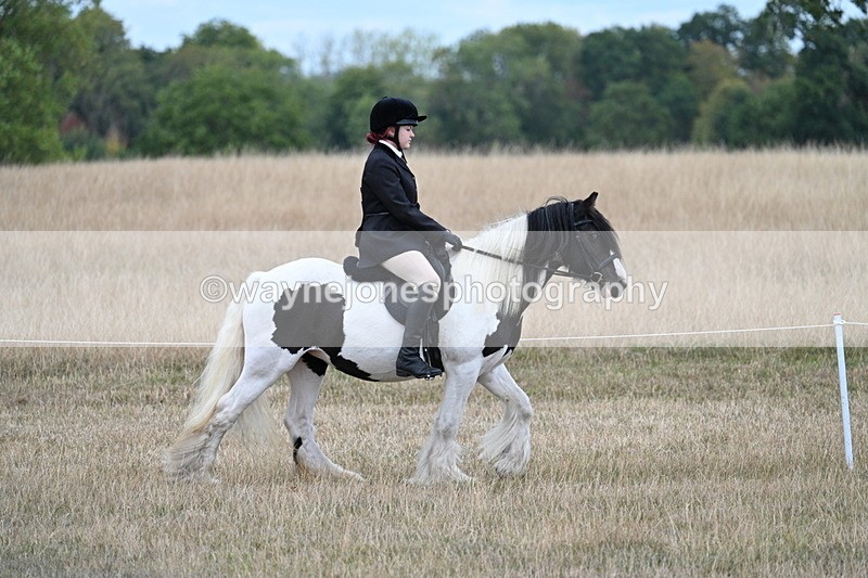 WJ7_4277 - Class 11 Family Mount