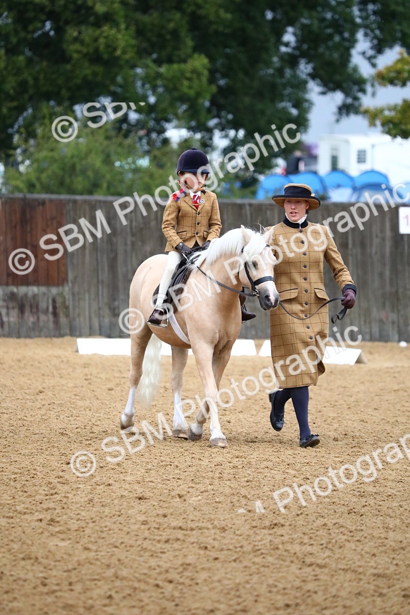 SBM_34574 - D26 - Starters Lead Rein