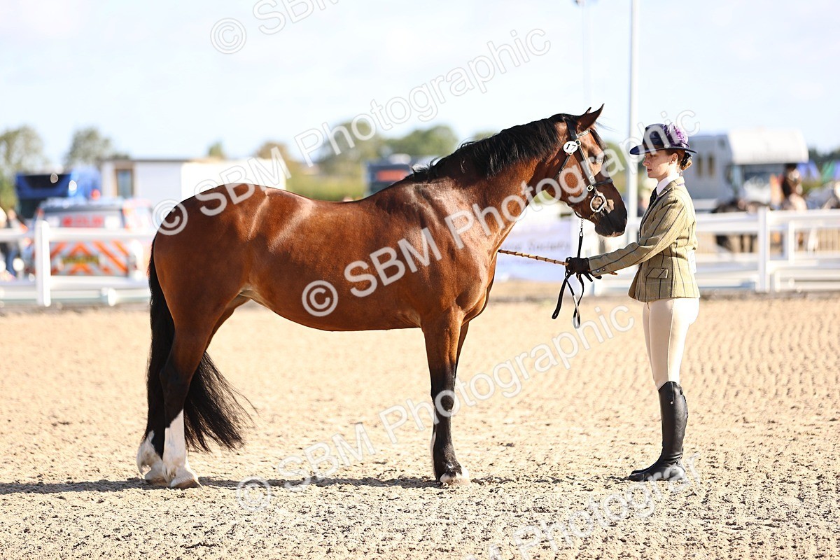 SBM_08487 - Class 402 - IH Veteran Pony