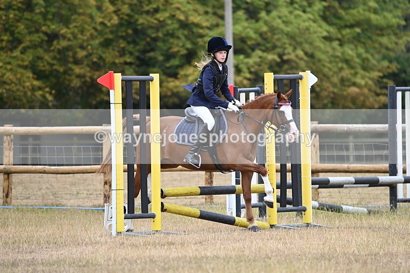 WJ6_0155 - Class 13 Novice Jumping 60cm