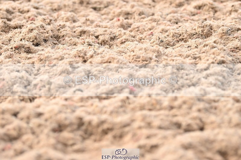 240622A-175959-15451 - Cls 7B+C Elementary 44 RoR