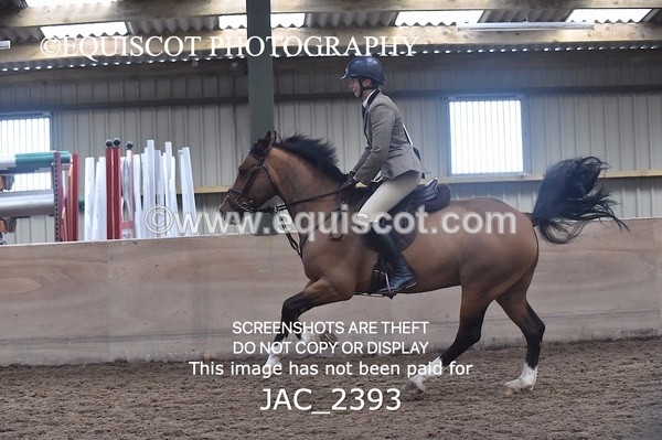 JAC_2393 - CLASS 3 Intermediate Working Hunter
