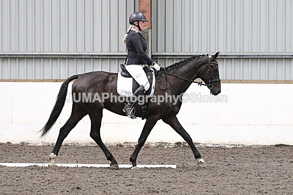 SIAL5327 - CAbin Dressage 5th july 2025