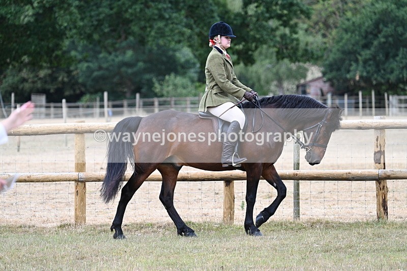 WJ7_0660 - Class 6 Ridden Mountain and Moorland