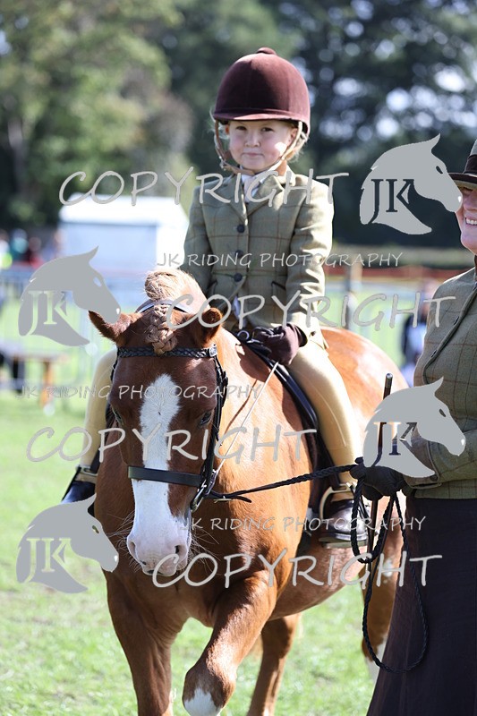 APP_3883 - Class 13 Lead rein