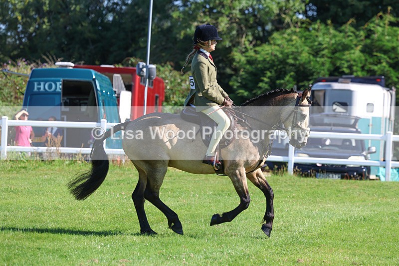 3E7A7829 - Class 2: Open Working Hunter pony
