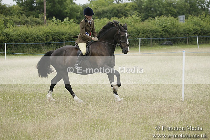 B230619-0757 - Bourne Valley Riding Club Summer Show 23/06/19