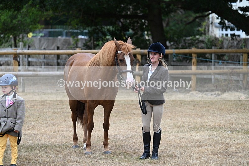 WJ7_8101 - Class 4 Prettiest Mare up to 14.2hh