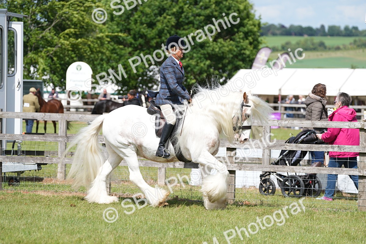 SBM_17116 - Class 107-108 - LIHS BSPS Performance Coloured Horse Pony