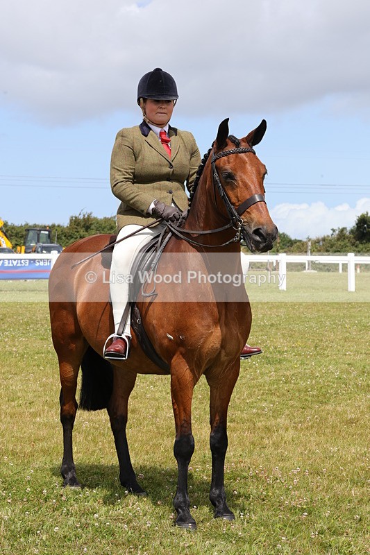1X9A4106 - Class 32: Show Hunter Pony 153cm and under