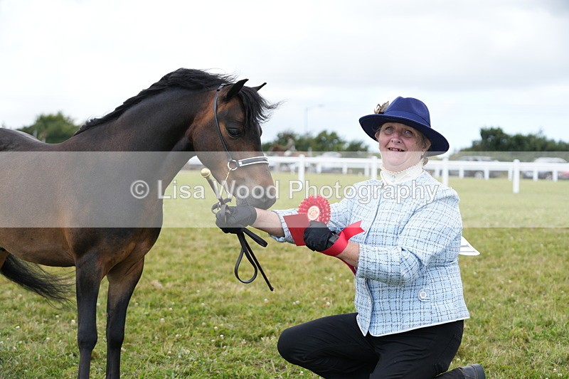 DSC06621 - Class 57: Miniature Horse 4yrs & over