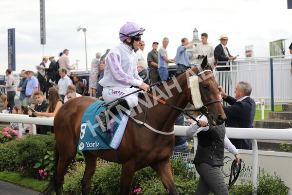 yr19082022r5-12 - Race 5 4.10pm Assured Data Protection EBF Fillies' Stakes