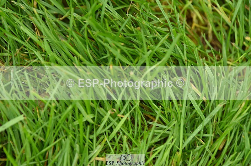 231021-122418-16531 - 064-AIR.MAIL-Daisy.Amin-SJ