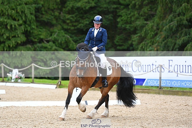 230813-142416-07751 - Cls 13 Medium Bronze 13.15 to End