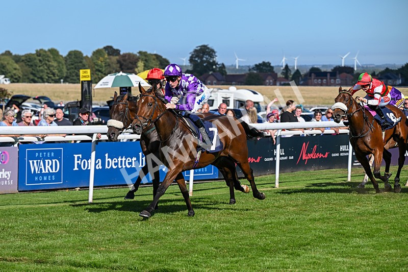 220926-Race 3-Call Me Tomorrow-3623 - Race 3 2.40pm Christmas Parties R Us Restricted Novice Stakes
